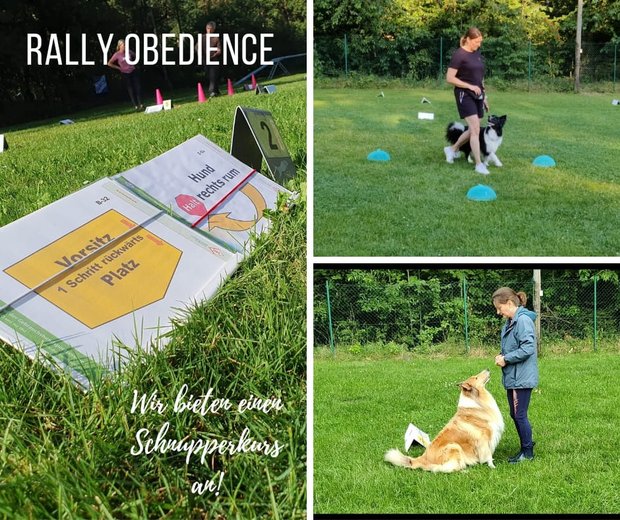 Rally Obedience Schnupperkurs